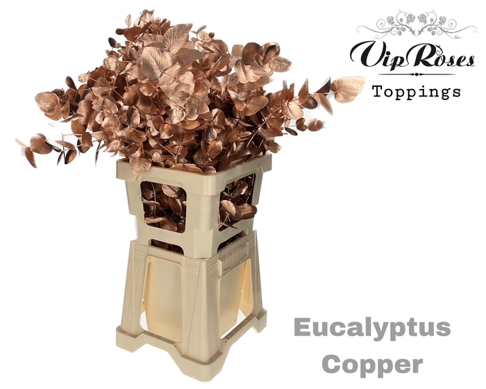 Euca Cinerea Copper 300gr