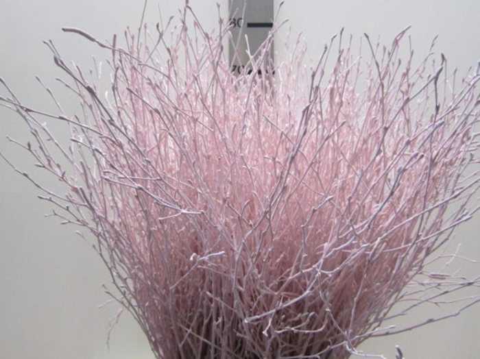 <h4>BERK LICHT ROSE L60</h4>