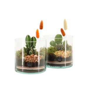 41680: Treasure time arrangement