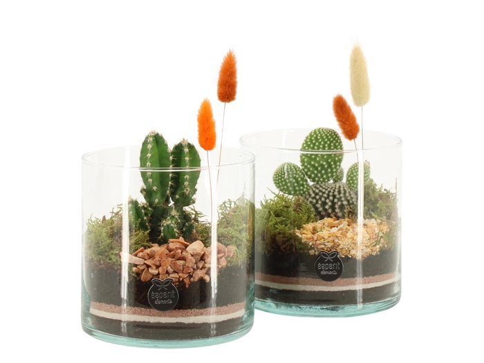 <h4>41680: Treasure time arrangement</h4>