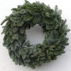 <h4>KRANS NORDMANN ROND 50 CM</h4>