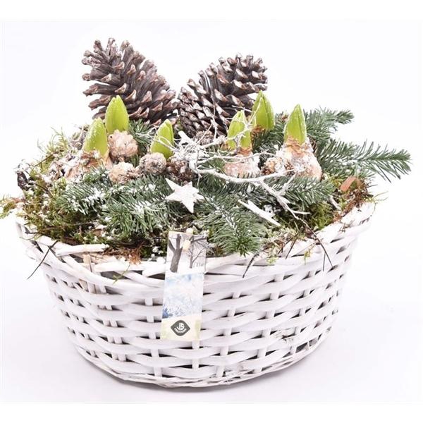 <h4>Wilg mand wit 30cm</h4>