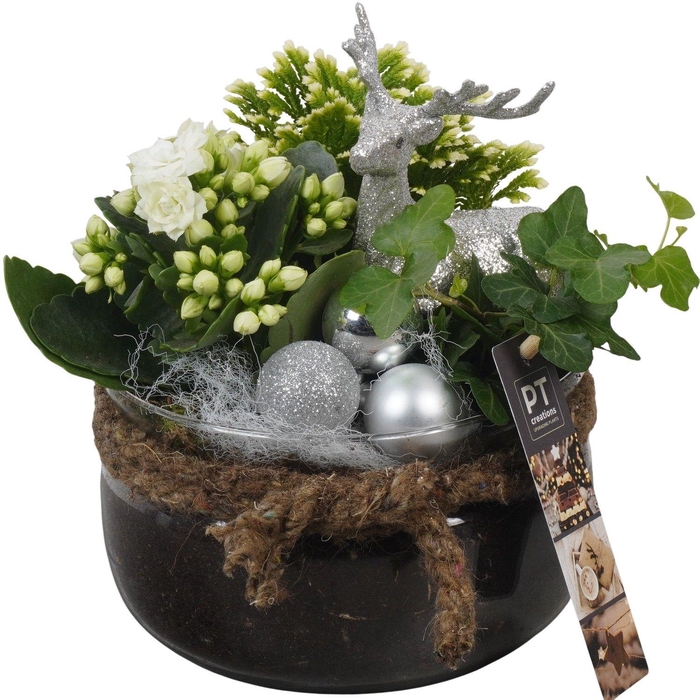 Deco Christmas Arrangement 16Ø 23cm