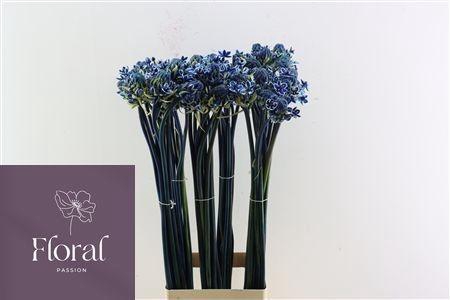 <h4>ORNIT KLB H%</h4>