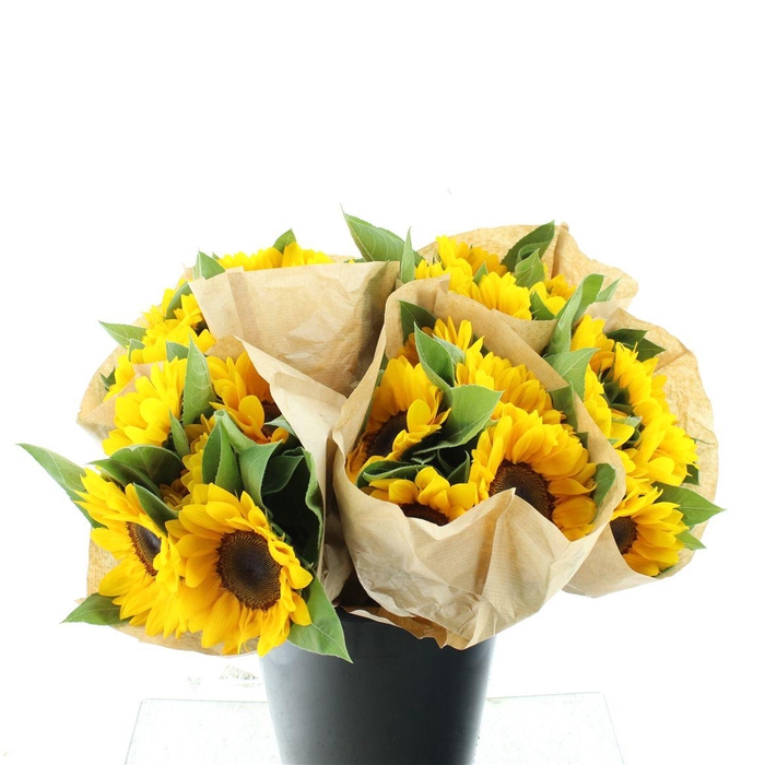 <h4>Bouquet Sunflowers X5</h4>