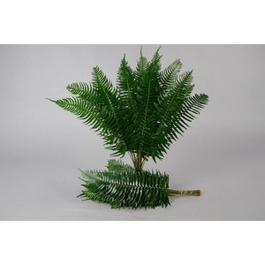 Swordfern