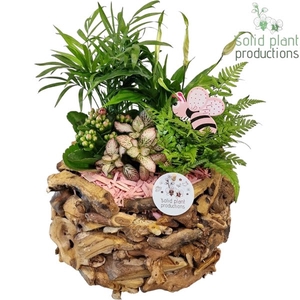 SC013 Driftwood Round Pink