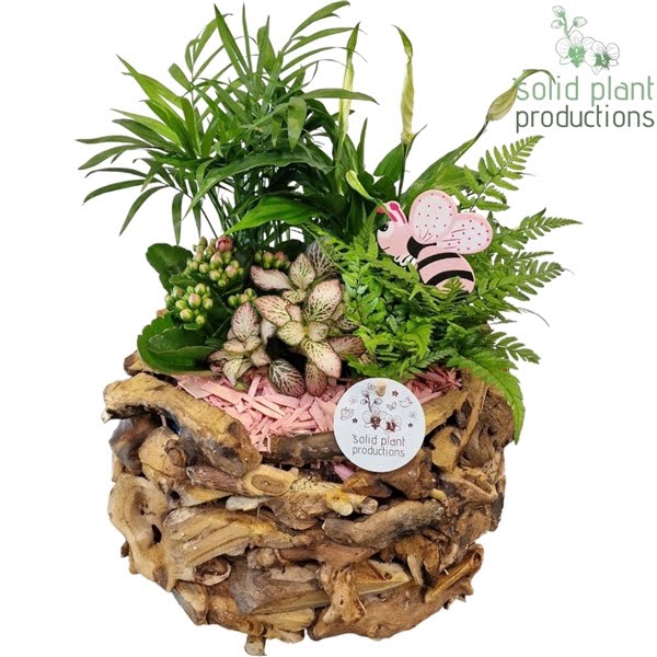 <h4>SC013 Driftwood Round Pink</h4>