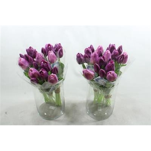 3102 PAARS KUNSTTULP