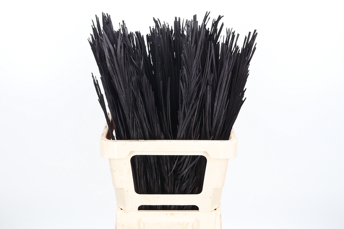 Droogbl Bew 17,5% St