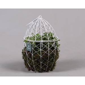 Metaal Ei groot met Hedera