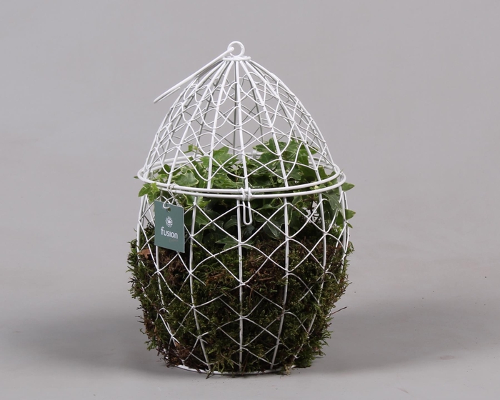 <h4>Metaal Ei groot met Hedera</h4>