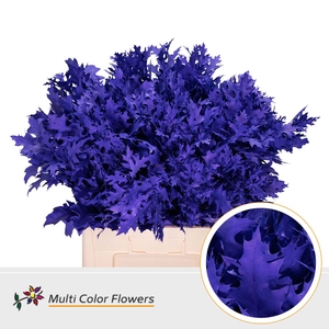 Eik Fijn Violet Donker