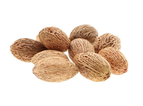 Amra Pod 50g L8W7H12