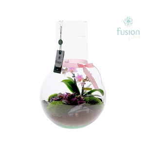 Green Bottle Suzanne Large met Moederdag arrangement