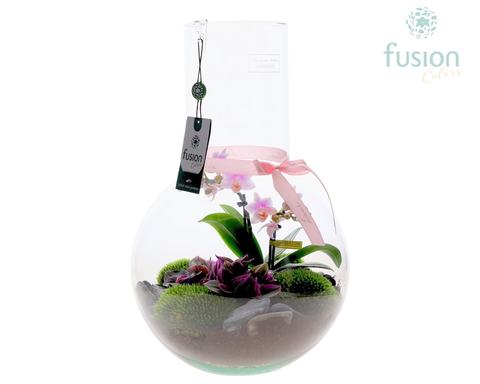 <h4>Green Bottle Suzanne Large met Moederdag arrangement</h4>