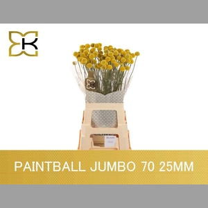 CRAS PAINTBALL JUMBO