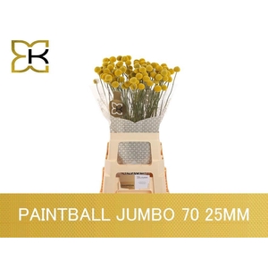 CRAS PAINTBALL JUMBO