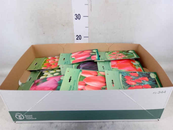 <h4>Flowerbulbs, corns or tubers   ...</h4>