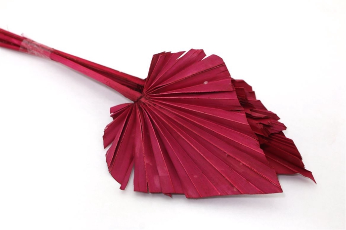 <h4>Dried Palm Spear Red</h4>