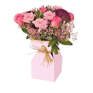 Vaas Basic kraft karton+plastic 11.5xH21cm roze