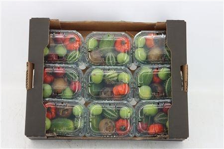 <h4>CUCUMIS HIRSUTUS</h4>