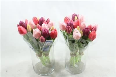 <h4>3111 Roze/paarse Kunst Tulp</h4>