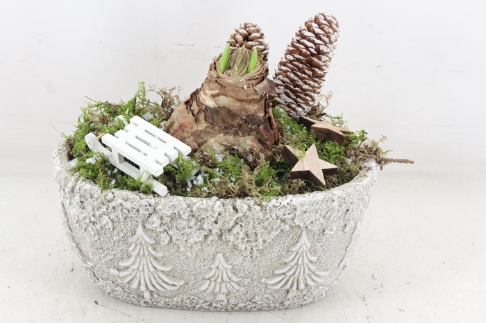 <h4>arr4 Amaryllis JS - Ker. ovaal christmas 335/4</h4>