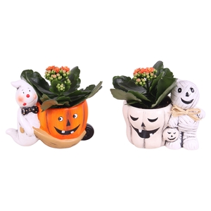 Halloween Arr. Indoor Ceramic Ghost/Mummy pot Ø16cm with 1PP