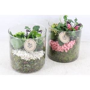 arr2 PL - Glas cilinder 15x15 - roze/wit