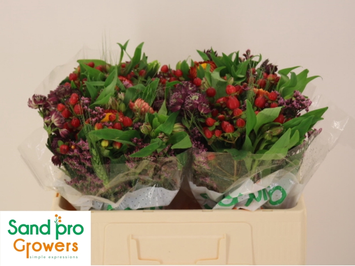 <h4>GEM ZOMERBOEKET</h4>