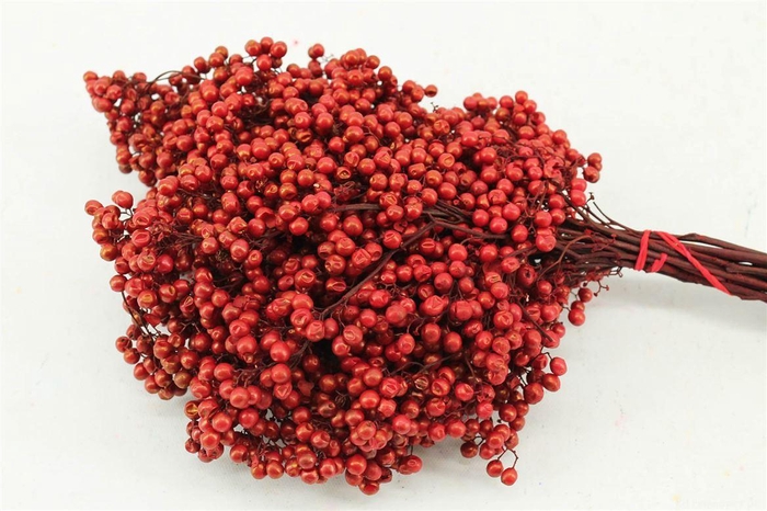 <h4>Schinus M Pt Red Bunch</h4>