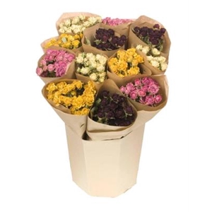 DROOG ROOSJES MIXED