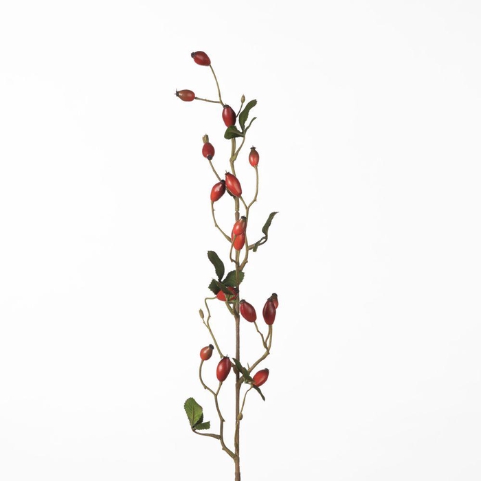 <h4>AF Rosehip Zaffiro Sp L84cm Re</h4>
