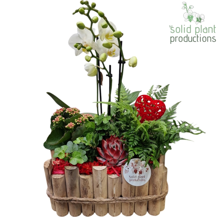 <h4>HVPE008 Verona Large Red</h4>