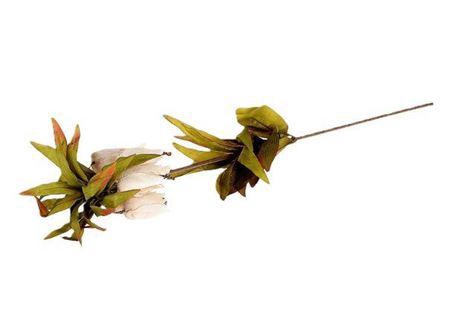 <h4>Stem Fritillaria L77</h4>