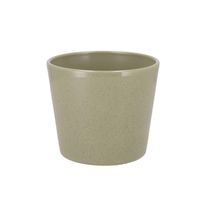 Ceramic Kiwi Stone Pot 15cm