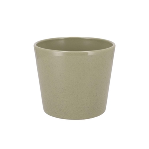 Ceramic Kiwi Stone Pot 15cm