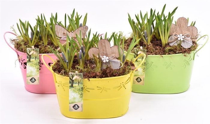 <h4>Zink ovaal vlinder 22x13</h4>