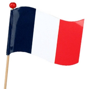 Pick Waving flag FR 5x6,5cm+50cm stick