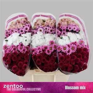 Sant Sweet Mixed
