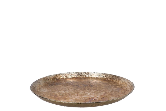 <h4>Noah Majestic Gold Coaster Iron 40x5cm</h4>