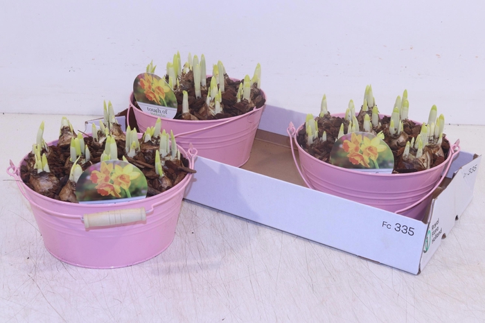 <h4>ARR N TETE A TETE</h4>