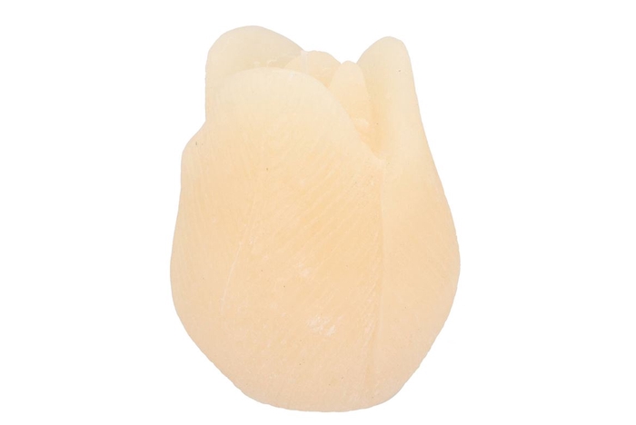 Candle Tulip Ivory 10x13cm