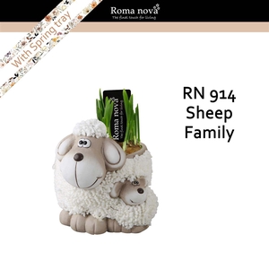 Narcis 914 Sheep Family