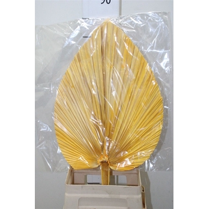 Dried Pametto Orange Per Stem