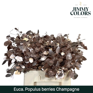 Pop bes per bos 200g Champagne