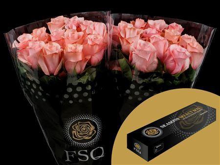 <h4>R Gr Be Sweet Box</h4>