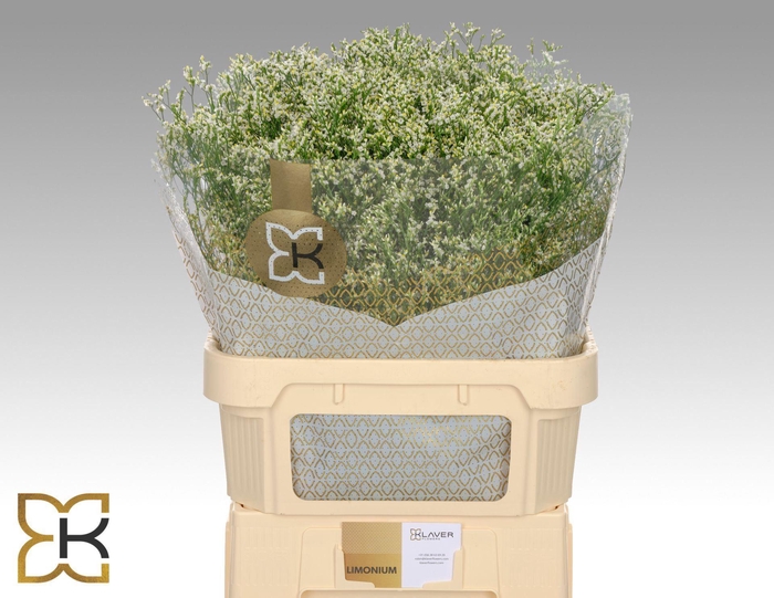 <h4>LIMONIUM SIN CLEAR DIAMOND LIM SIN</h4>