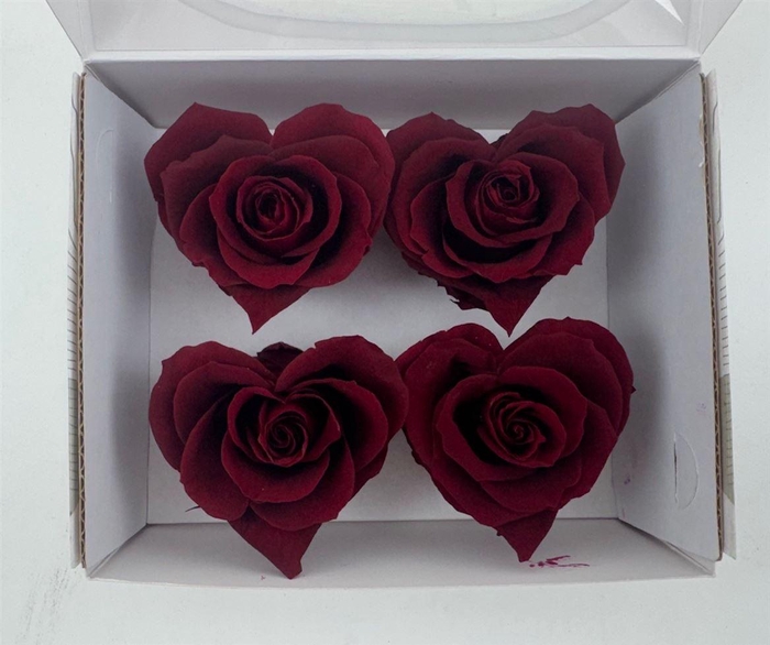 <h4>Ro Pres Hearts Red</h4>